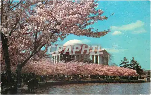 Moderne Karte Jefferson Memorial Appears in its most Beautiful Setting usually early in April