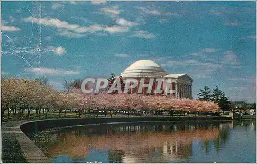 Cartes postales moderne Jefferson Memorial Appears in its most Beautiful Setting usually early in April