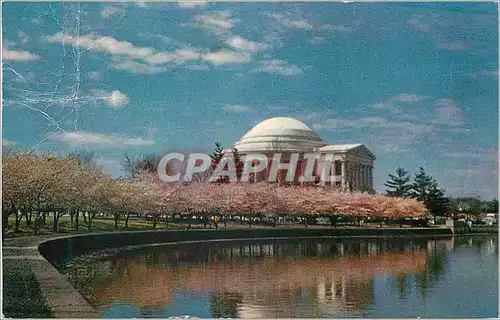 Moderne Karte Jefferson Memorial Appears in its most Beautiful Setting usually early in April