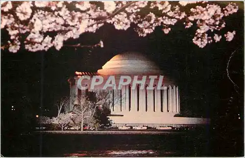Moderne Karte The Jefferson Memorial as seen at Night during the Blooming of the Cherry Trees