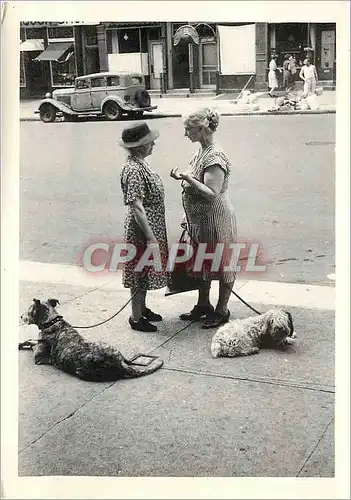 Cartes postales moderne Dan Weiner East End Avenue 1950