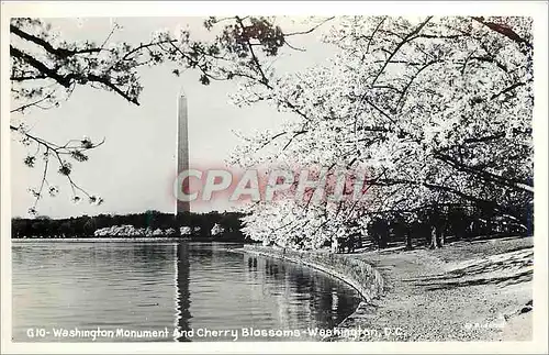 Moderne Karte Washington Monument and Cherry Blossoms Washington DC