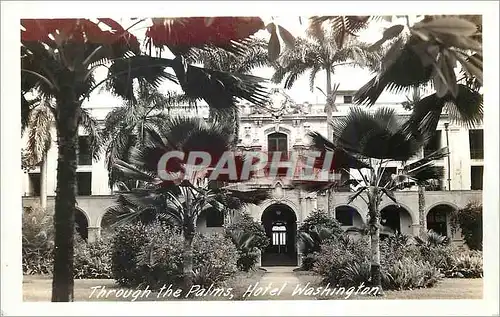 Cartes postales moderne Through the Palms Hotel washington