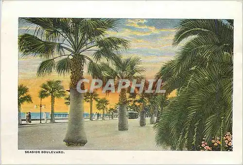 Cartes postales moderne Seaside Boulevard Home of Stewart Edward White