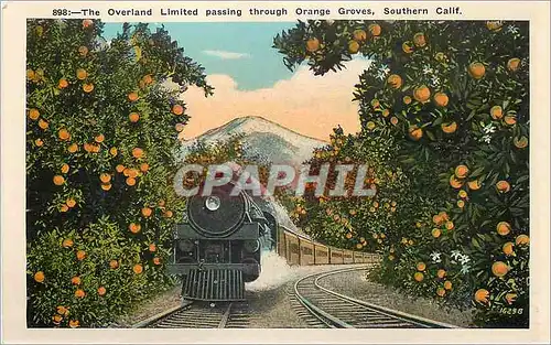 Moderne Karte The Overland Limited Passing Through Orange Groves Southern Calif Train