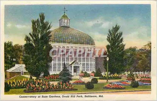 Cartes postales moderne Conservatory at Rose Gardens Druid Hill Park Baltimore Md