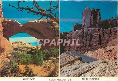 Cartes postales moderne Broken Arch Arches National Park Three Penguins White Water Rating