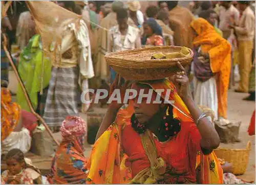 Cartes postales moderne Harer Market Ethiopia