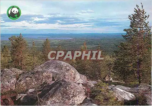 Cartes postales moderne Suomi Finland Vuokatti Panda WWF