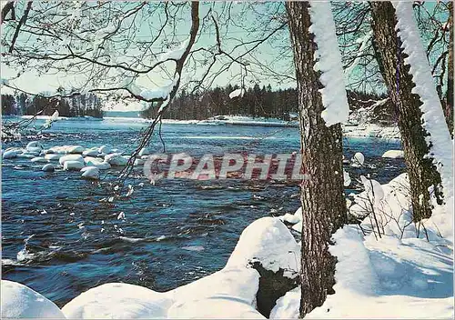 Cartes postales moderne Ruovesi Suomi Finland Muroleenkoski