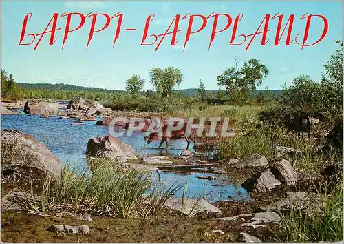 Cartes postales moderne Lappi Lapland Suomi Finland