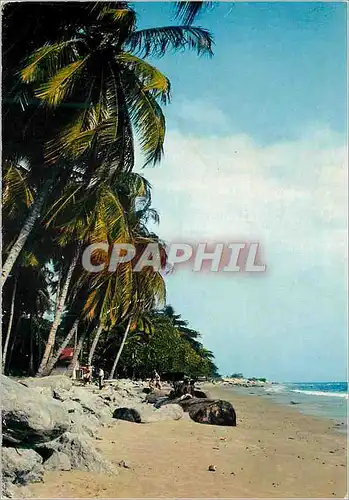 Cartes postales moderne La plage a Libreville