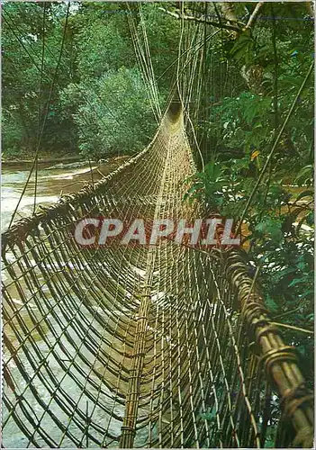 Cartes postales moderne Gabon Touristique Le Pont de Lianesde Poubara