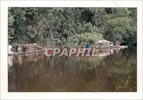 Cartes postales moderne Couleurs du Gabon Le Fleuve Ogooue