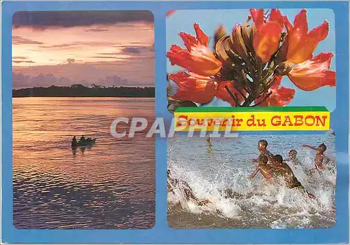 Moderne Karte Souvenir du Gabon Crepuscule sur L'Ogooue Tulipier du Gabon Joies de L'Eau