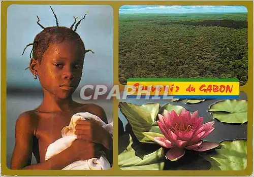 Moderne Karte souvenir du Gabon Baignade du Soir La Foret Vue d'Avion Nenuphar