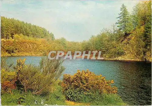 Cartes postales moderne River Spey Near Rothes Moray