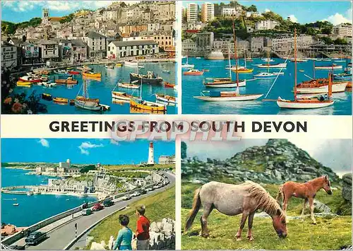 Moderne Karte Greetings From South Devon