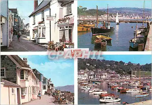 Cartes postales moderne Lime Regis Bell Geogian Cottages Bell Cliff