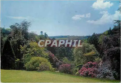 Cartes postales moderne Glendurgan Mawnan Smith Falmouth Cornwall The Vicy to the Helford River