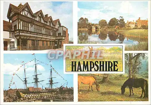Cartes postales moderne Hampshire Beauty Spots Bateau Biche Cheval