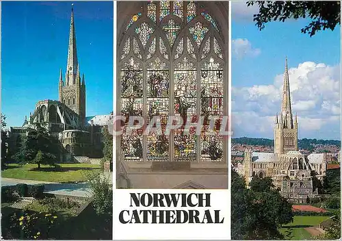 Cartes postales moderne Norwich Cathedral