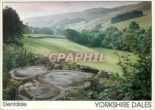 Cartes postales moderne Dentdale Yorkshire Dales