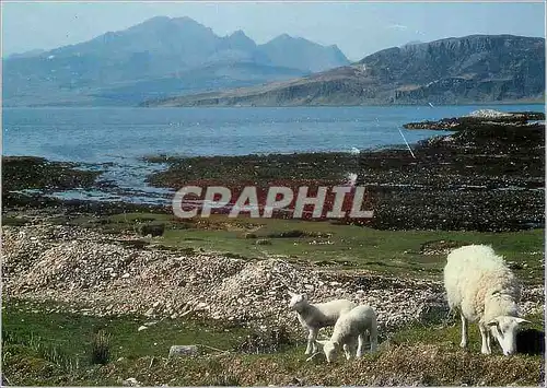 Cartes postales moderne Loch Eishort and Blaven From Ord Sleat Isle Of Skye