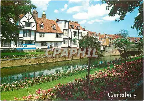 Cartes postales moderne The River Stour and Westgate Gardens