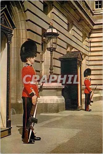 Cartes postales moderne London the Queen's Guard Buckingham Folklore