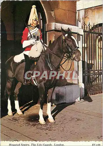 Moderne Karte Factionnaire a Cheval Appartenant a la Garde de la Maison de la Reine au Horse grards Parade a L