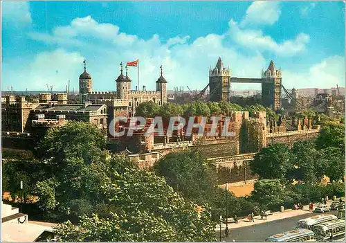 Cartes postales moderne Tower and Tower Bridge London