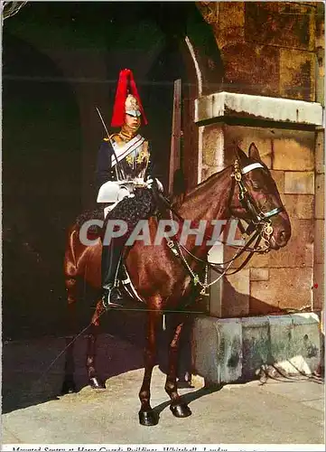 Cartes postales moderne The Bluesand Royals Militaria Cheval