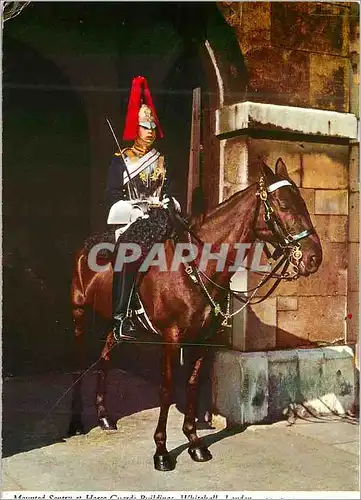 Moderne Karte The Bluesand Royals Militaria Cheval