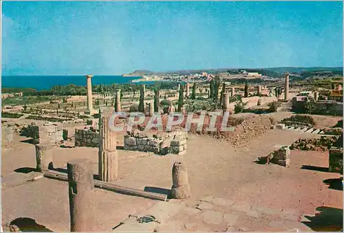 Cartes postales moderne Costa Brava Ampurias Ruines Romaines