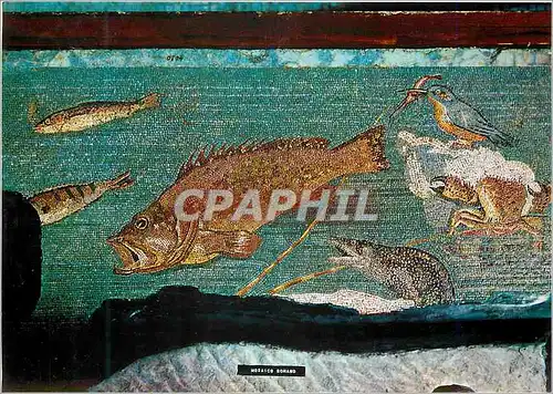 Cartes postales moderne Ampurias n� 1439 Mosaico Helenistico Ilamario de Los  Puces Poissons