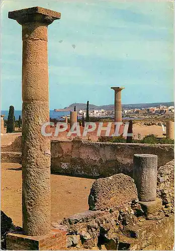 Cartes postales moderne Costa Brava Ampurias Ruinas Romanas