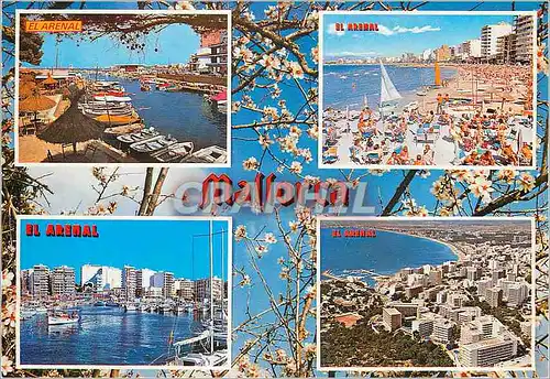 Cartes postales moderne Mallorca El Arenal