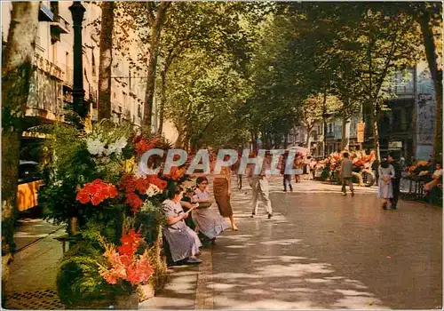 Moderne Karte Barcelona La Ramba des Fleurs