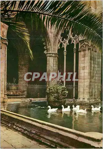 Cartes postales moderne Barcelona Cathedral Cloitre et Oies