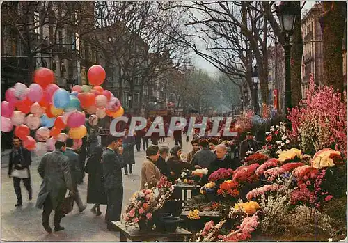 Cartes postales moderne Barcelona la Rambla des Fleurs