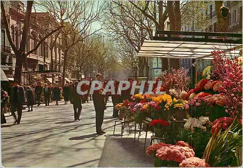 Cartes postales moderne Barcelona Rambla des Fleurs