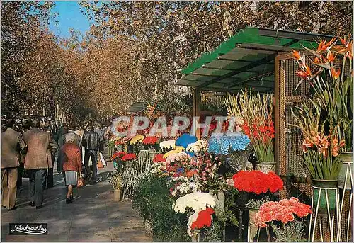 Cartes postales moderne Barcelona Rambla de las Flores