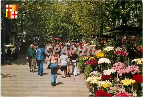 Cartes postales moderne Barcelona Avenue Nomee Avenue des Fleurs