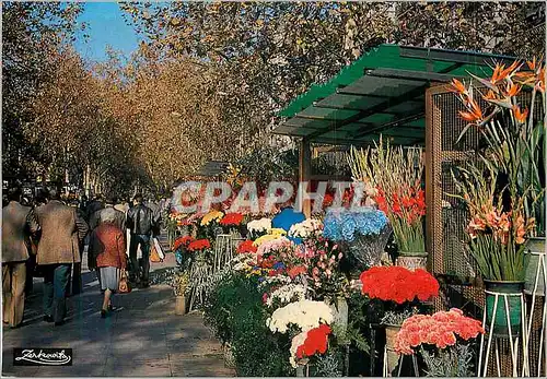 Cartes postales moderne Barcelona Rambla de Las Flores