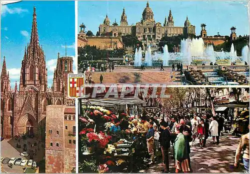 Cartes postales moderne Barcelona catedral P Nacional Ramblas de Las Flores