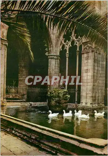 Cartes postales moderne Barcelona Cathedral Cloitre et Oies