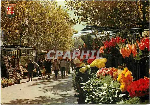 Cartes postales moderne Barcelona Las Ramblas