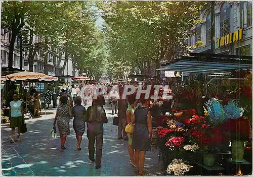 Cartes postales moderne Barcelona Rambla des Fleurs