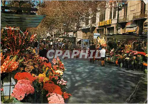 Moderne Karte Barcelona Rambla de Las Flores